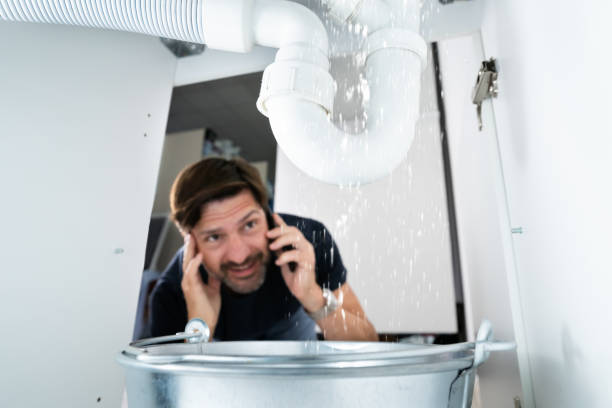 Best Sprinkler Systems  in Weston Lakes, TX
